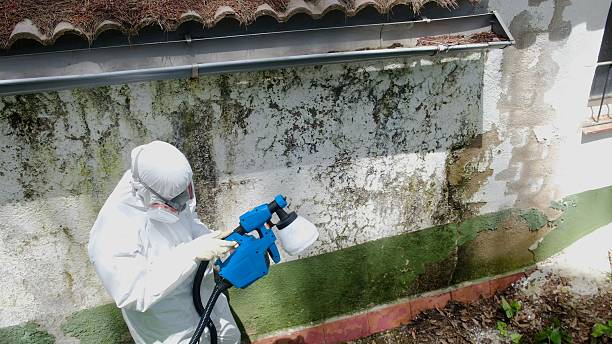 Clearance testing in Thornton